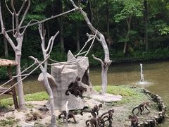 -上海野生动物园