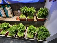 -印巷里主题餐厅(马鞍山店)