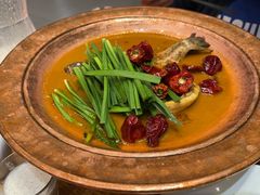 -饭怕鱼(阳光100店)