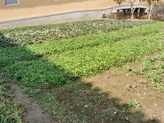 -重元寺香积厨素斋馆