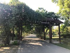 -鹅湖玫瑰文化园
