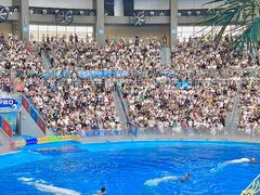 -海合安成都极地海洋公园