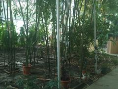 -吉林大学前卫南区中心图书馆