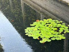 -兰亭风景区