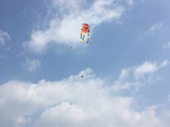 -径山花海