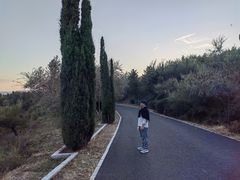 -红山国家森林公园