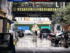 -温鉴良实用咏春拳