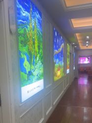 -武汉五洲整形外科医院