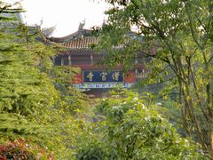 -铁山坪森林公园