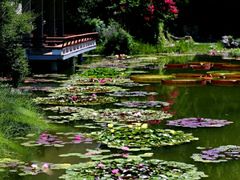 -国家植物园南园