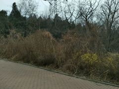 -水池山公园