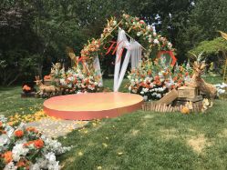 -花轿喜屋婚礼策划