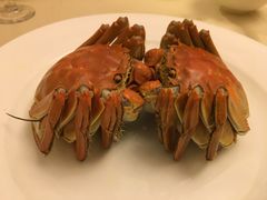 大闸蟹-王宝和酒家(黄浦店)