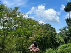 -中国科学院西双版纳热带植物园