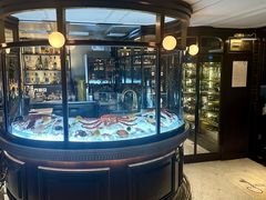 -壳里西餐厅Coquille Seafood Bistro(蒙自路店)