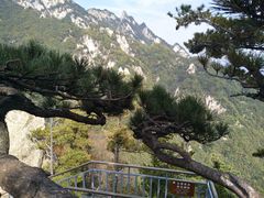 -尧山风景区