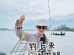 -滨海小渔村·海肠捞饭·鲅鱼水饺·特色老火鱼丸汤(华田店)