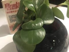 -苏浙汇(朝外店)