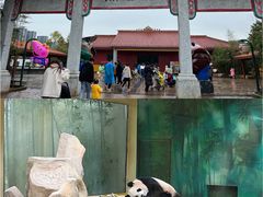 -杭州野生动物世界