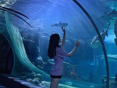 -暹罗海洋世界