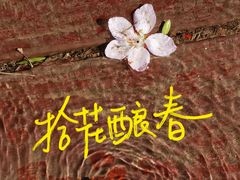 -春风习习