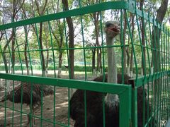 -长白岛森林公园