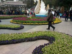 -国色天乡三期陆地乐园