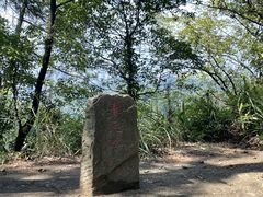 -南山植物园