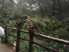 -峨眉山风景名胜区
