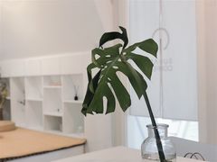 -SUGAR COFFEE城市咖啡(三一重工店)