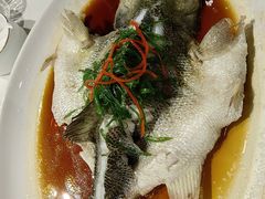 -老广酒楼(樱花店)
