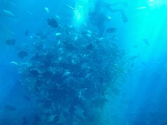 -瑞德姆美人鱼海底演艺主题餐厅(亚龙湾店)