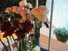 -弦月窗LUNETTE BY AMANDA(复兴路店)