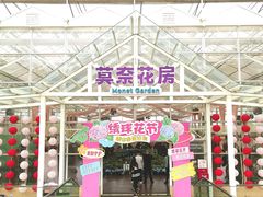 -盈香心动乐园