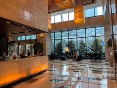 -上海龙之梦万丽酒店