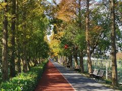 -上海长兴岛郊野公园