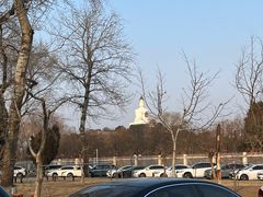 -国家图书馆·古籍馆