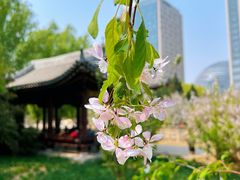 -元大都城垣遗址公园