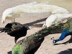 -水上乐园·欢乐世界