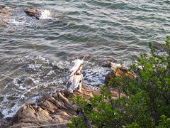 -青岛第二海水浴场