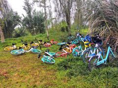 -白鹭湾湿地公园