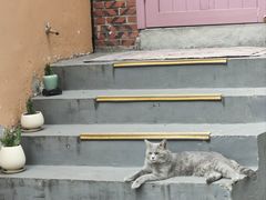 -猫岛主趣味餐厅(鼓浪屿店)