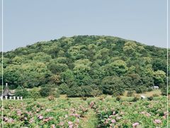-龙寺生态园