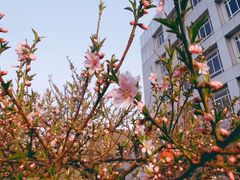 -徐家汇源景区-衡山公园