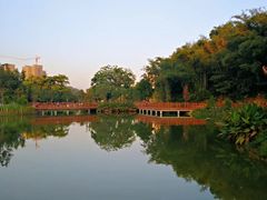 -大湾区中央湿地公园