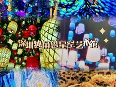 -深圳独角兽星空艺术馆