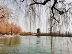 -济南大明湖景区