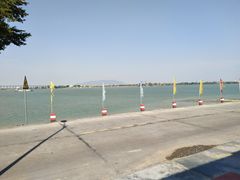 -八仔大富楼·河鲜(西江店)