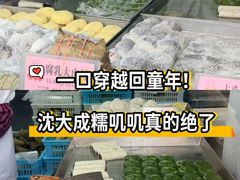 -沈大成(南京东路店)