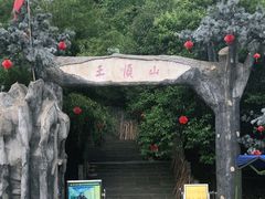 -王顺山国家森林公园